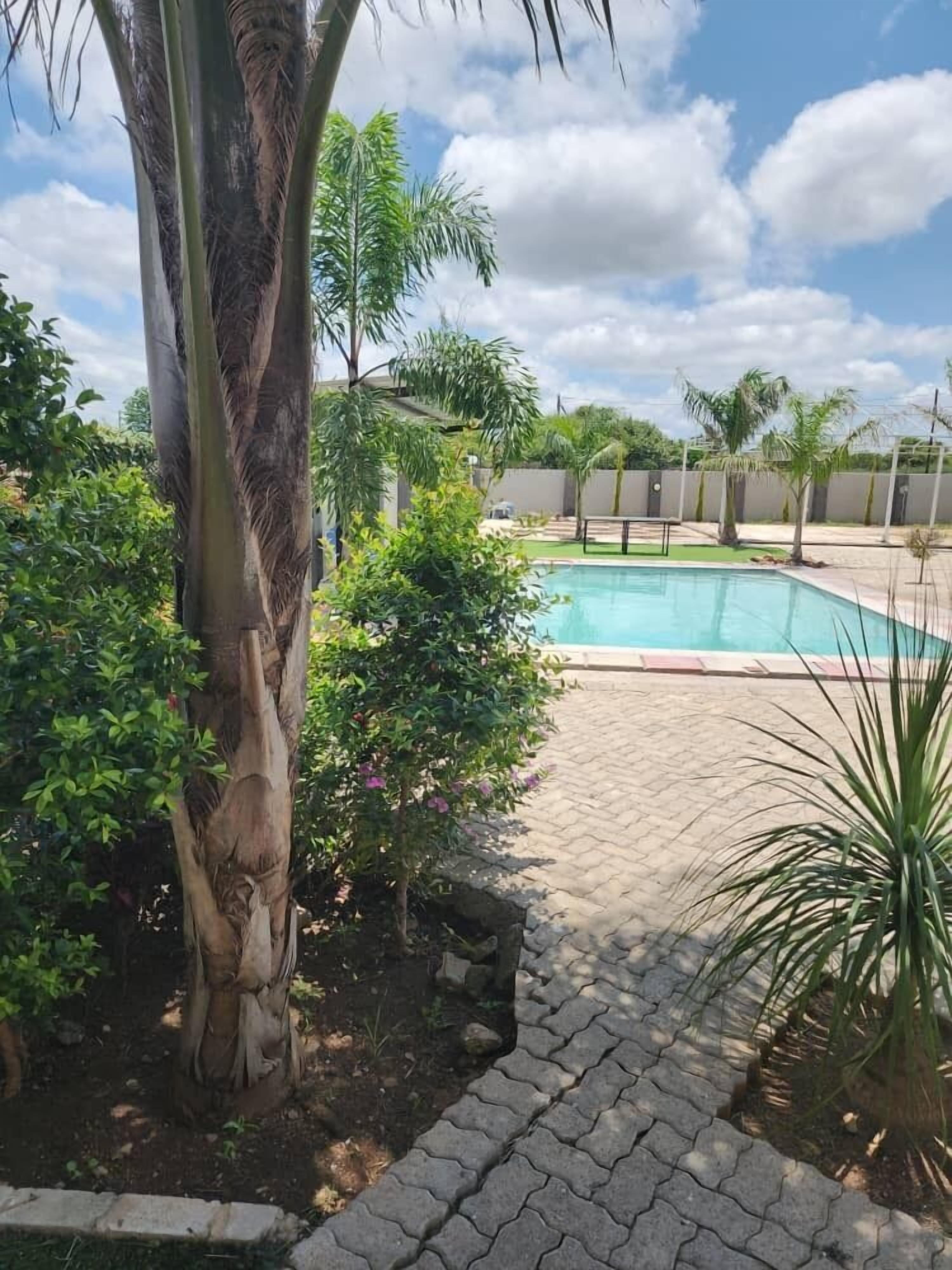 Una piscina rodeada por un patio empedrado, palmeras y arbustos diversos.