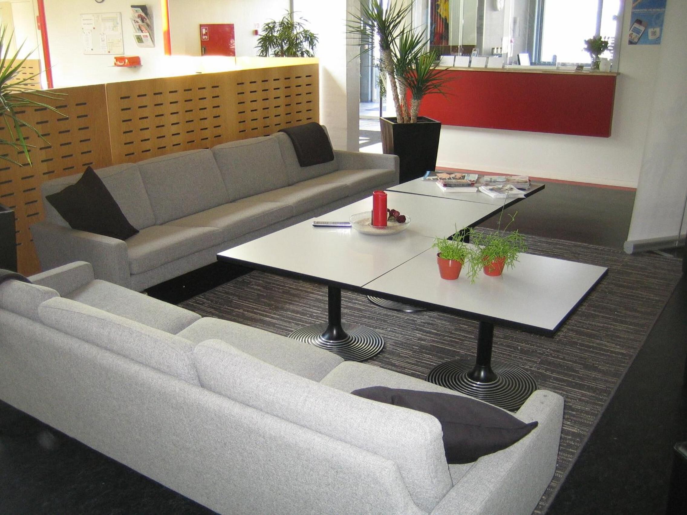 A modern office lounge with a grey sofa, a white coffee table, and potted plants.