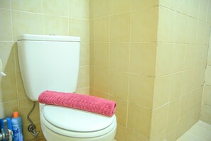 Camera | Bagno | Doccia, set di cortesia gratuito, asciugamani, carta igienica