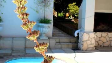 Outdoor pool, pool umbrellas, sun loungers