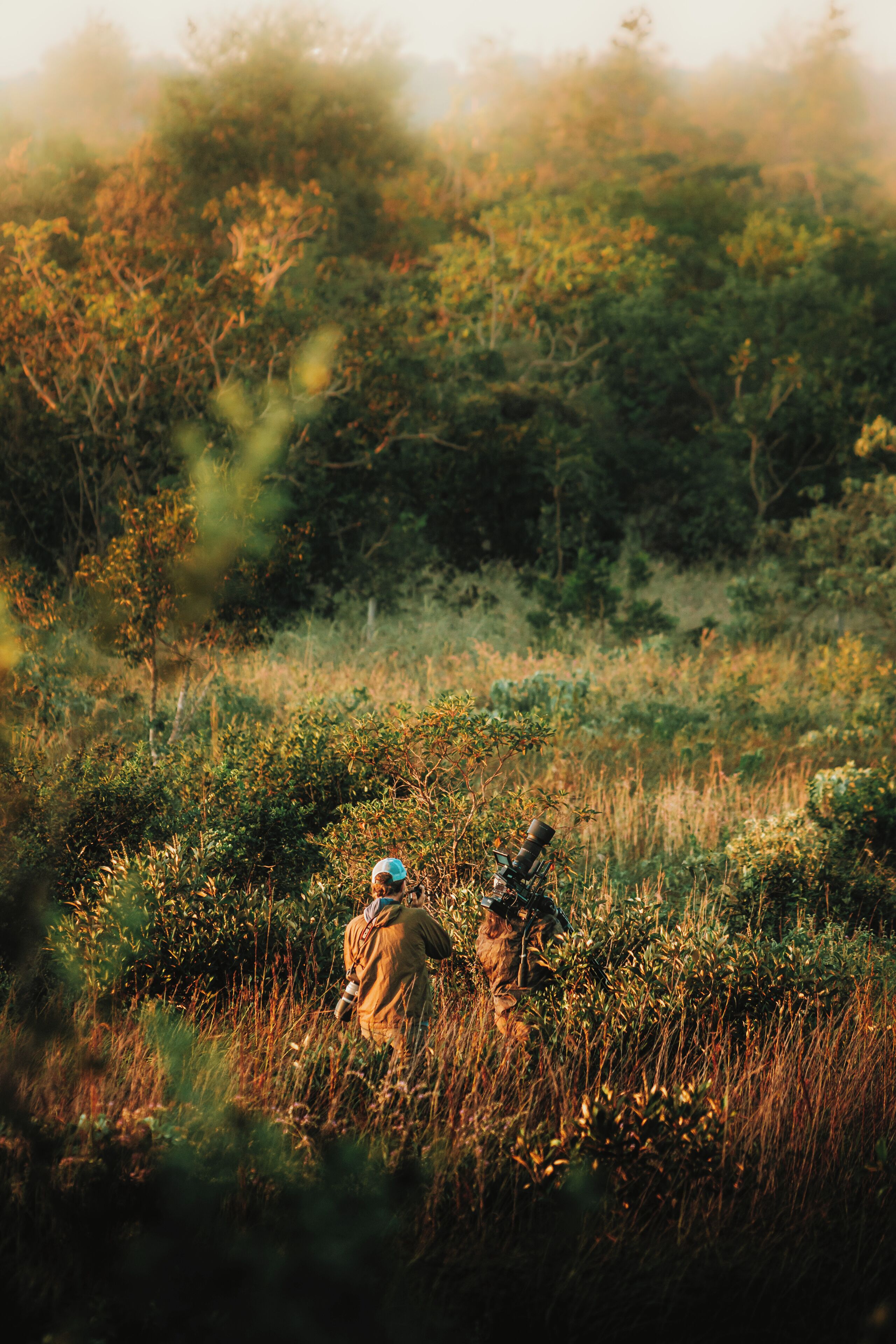 A person in a field with a camera, surrounded by greenery.