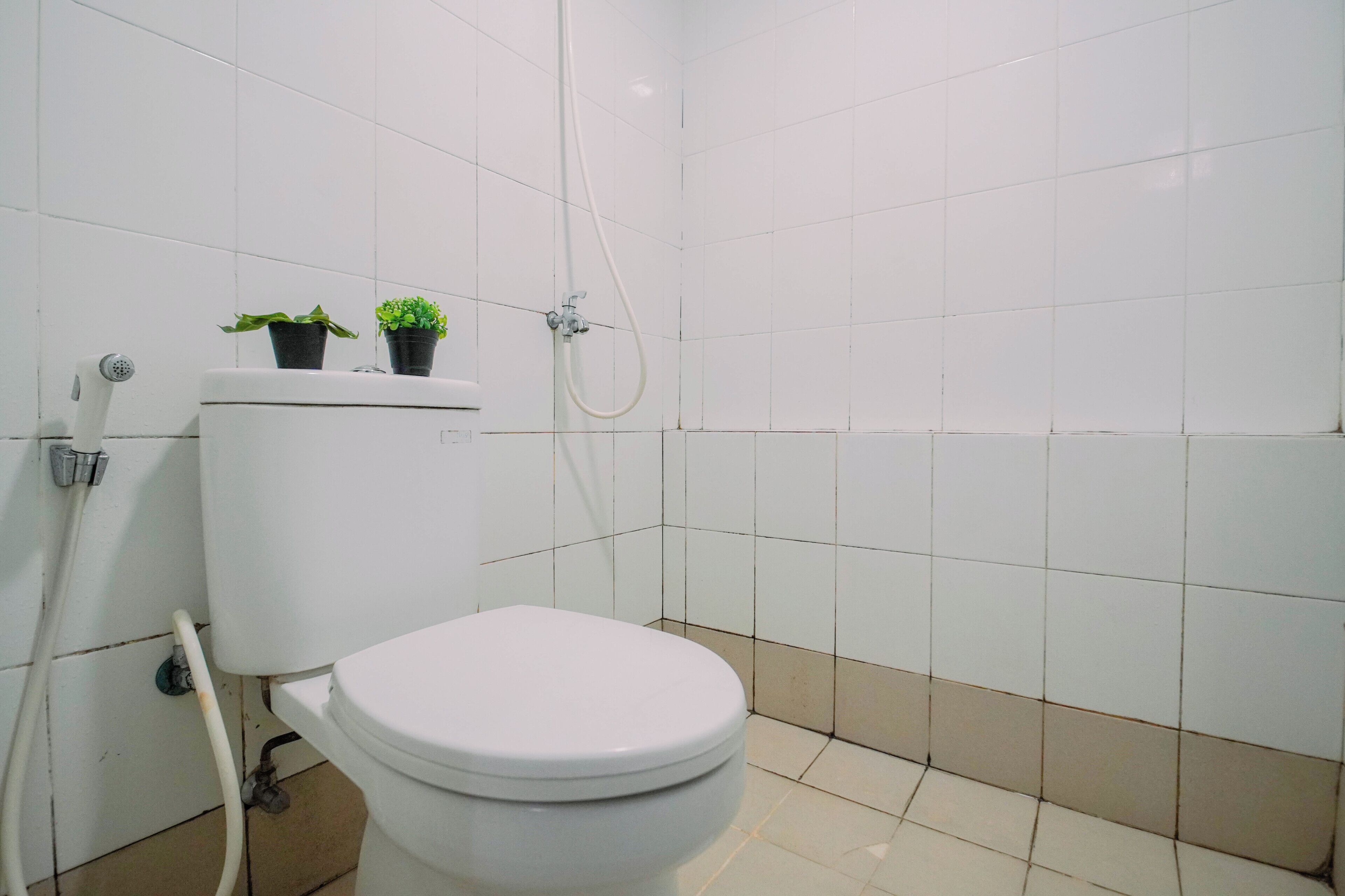 A bathroom with a toilet, a shower, and two potted plants on the wall.