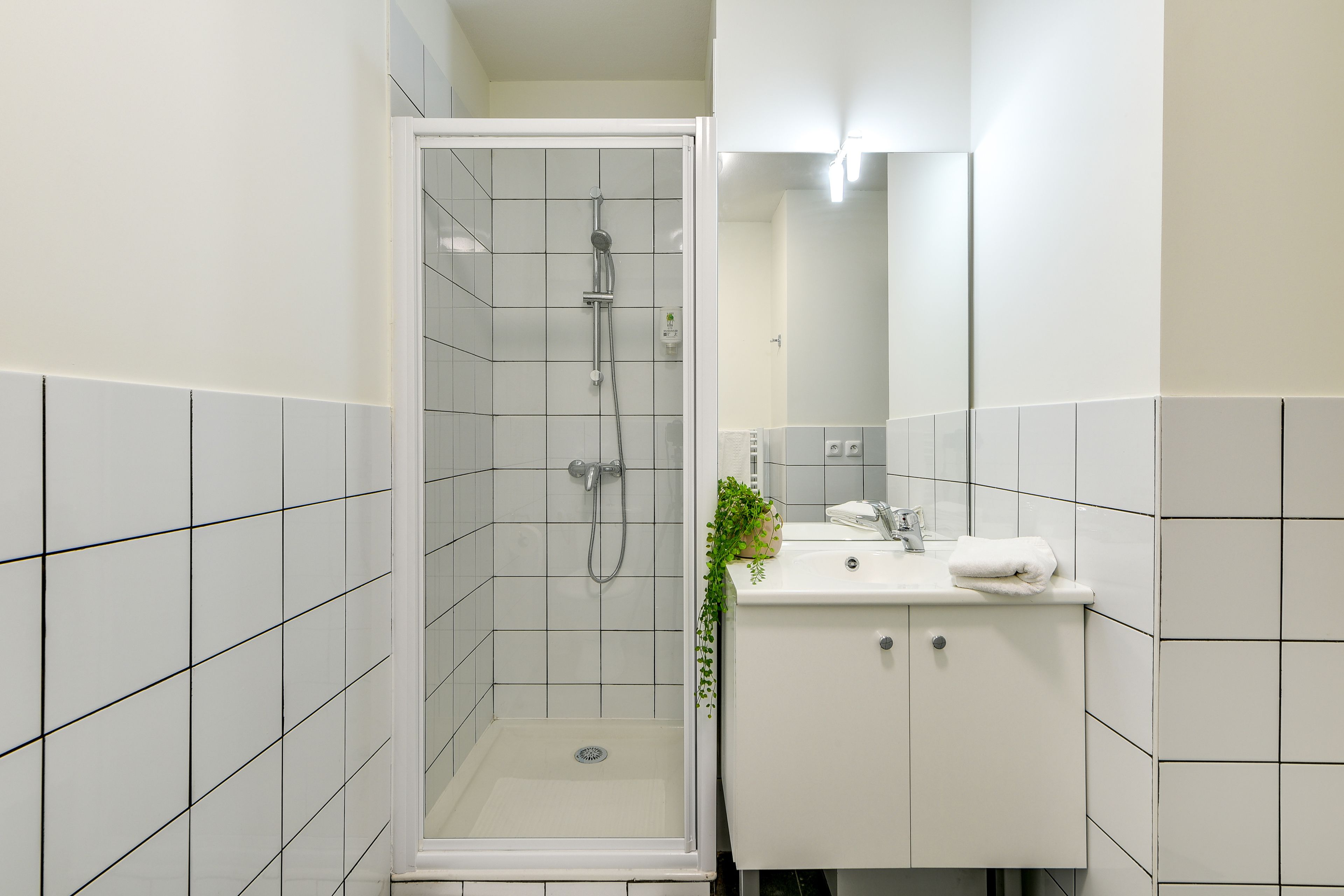 Une salle de bain moderne avec une douche à parois de verre, des carreaux blancs, un lavabo avec un miroir et une petite plante posée sur le comptoir.