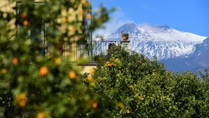 Garden view - Giardino Arancio (Giarre)