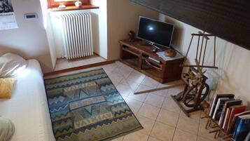Une pièce comprenant un lit, un téléviseur posé sur un meuble en bois, un radiateur, un tapis à motifs et une bibliothèque remplie de livres.