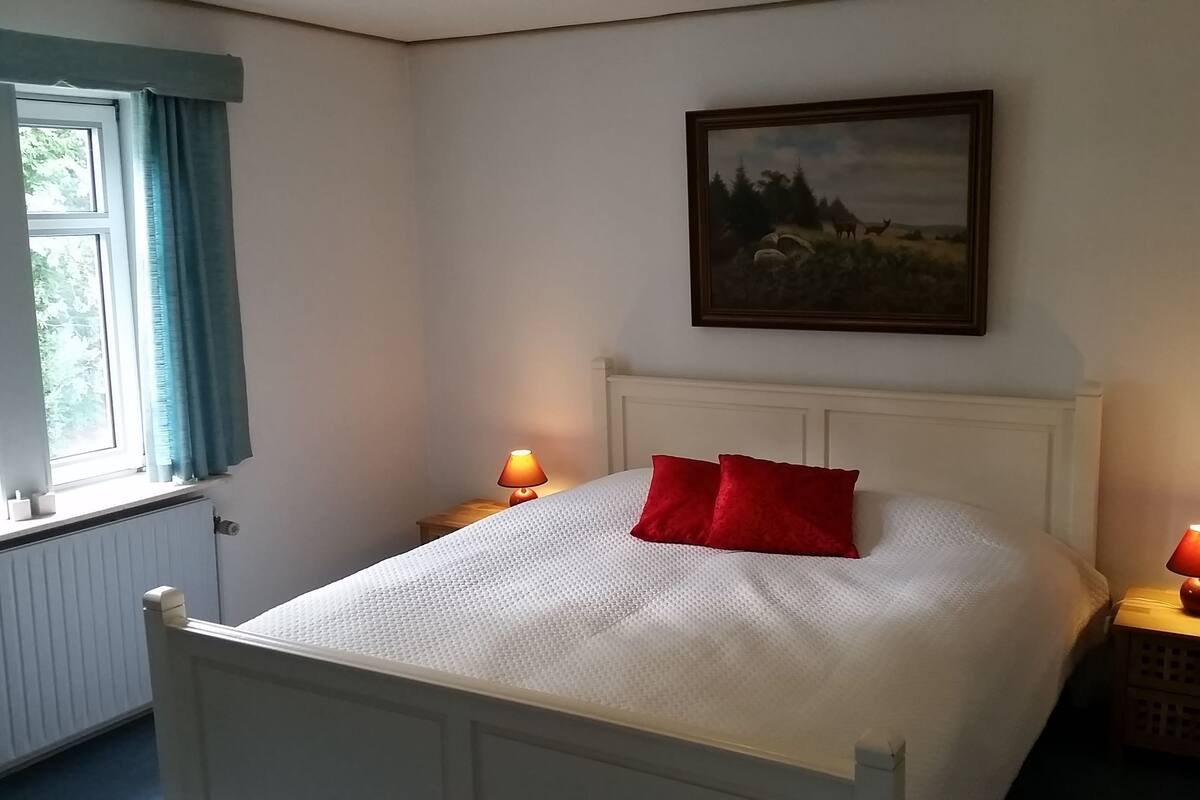 A bedroom with a white bed, red pillows, a painting on the wall, and two bedside lamps.