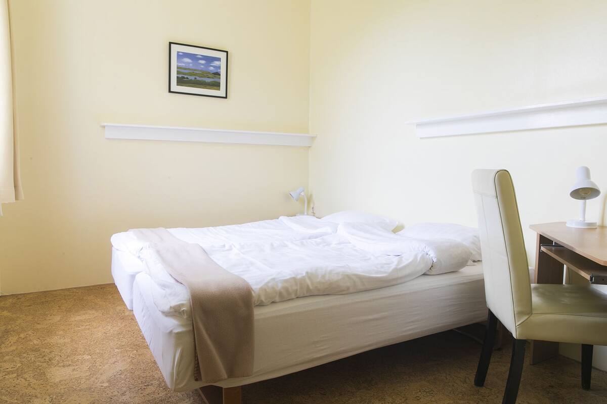 Twin Room, Private Bathroom | Desk, blackout drapes, free WiFi, bed sheets