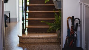 A staircase with a wooden handrail, potted plants, and umbrellas leaning against the wall. - La Villa Dunois (Orléans)