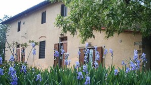 Terrace/patio - Agriturismo I Casalini (San Casciano in Val di Pesa)