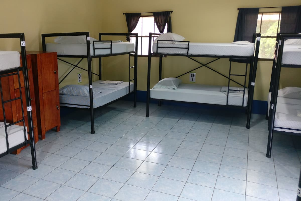 디럭스 공용 도미 토리, 침대(여러 개), 금연 (5 bunk beds) | 다리미/다리미판, 무료 WiFi