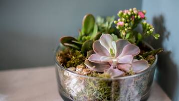 A glass terrarium containing various succulents and small plants.