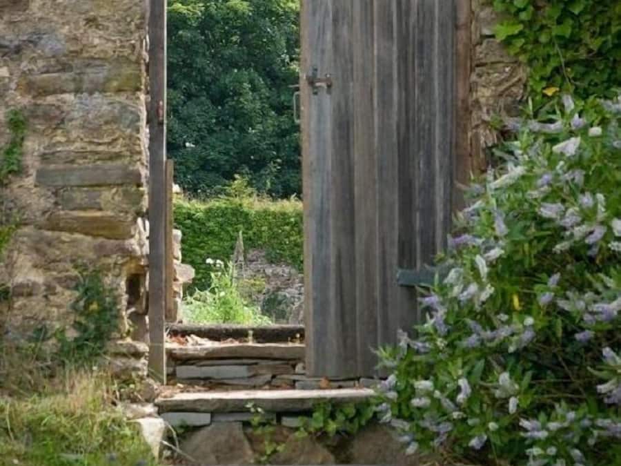 Detalle exterior