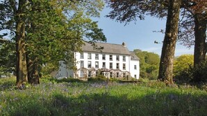 A large, white building surrounded by trees and wildflowers. - Cuffern Manor (Haverfordwest)