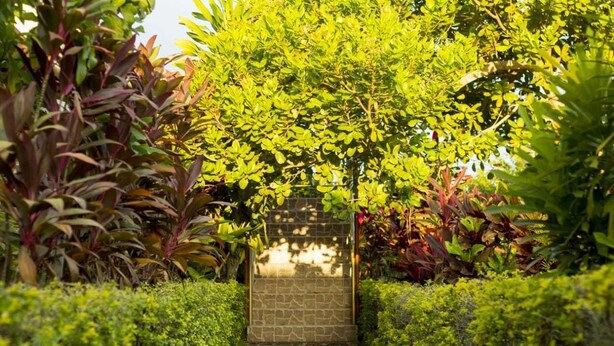 A stone pathway leading through a lush garden with various plants and a brick wall at the end.