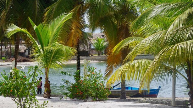 Ein Strand mit Palmen, einem Boot und einer Person am Wasser.