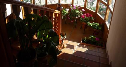 Casa Rural El Molino de Alocén