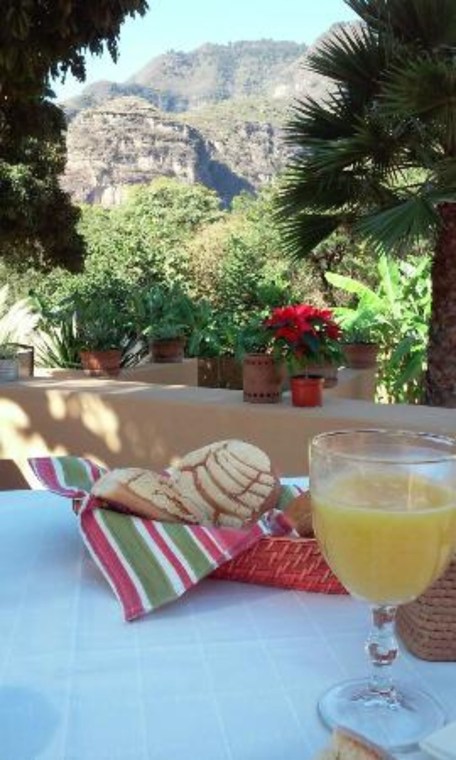 free daily full breakfast