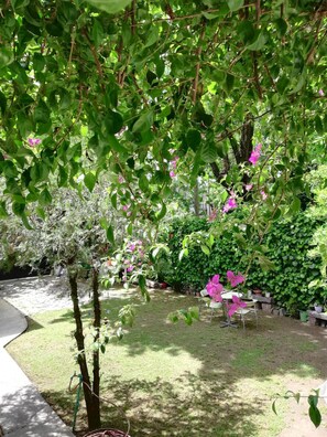 Property grounds - Casablanca Adrogué (Adrogué)