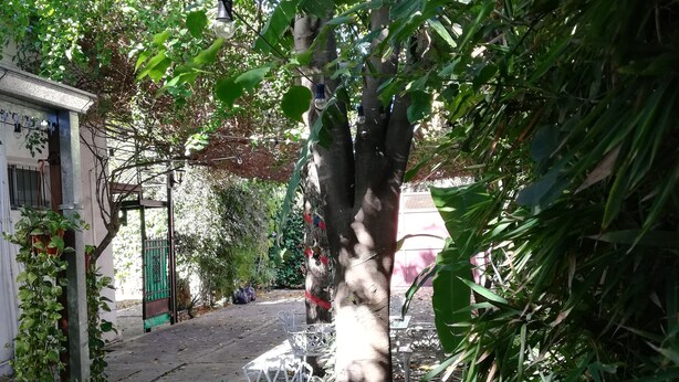 Un área de estar al aire libre con mesas y sillas de metal blanco, rodeada de exuberante vegetación y árboles.