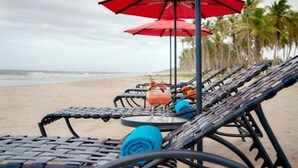 A beachside lounge with metal chairs and red umbrellas, a table with a drink, and a view of the ocean and palm trees. - LD Plus (Paraguachí)