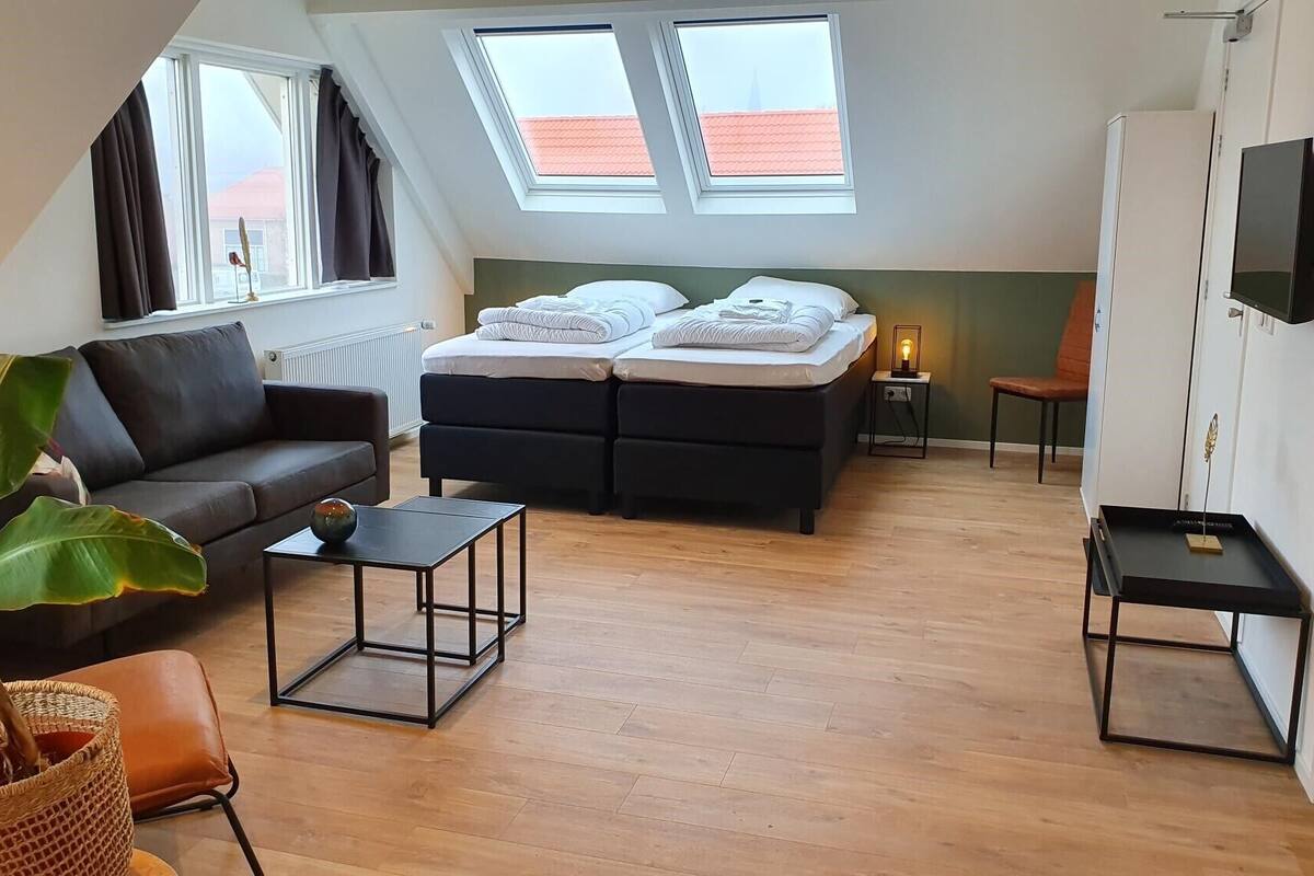 A loft-style bedroom with a sofa, a bed, a TV, and a large plant.