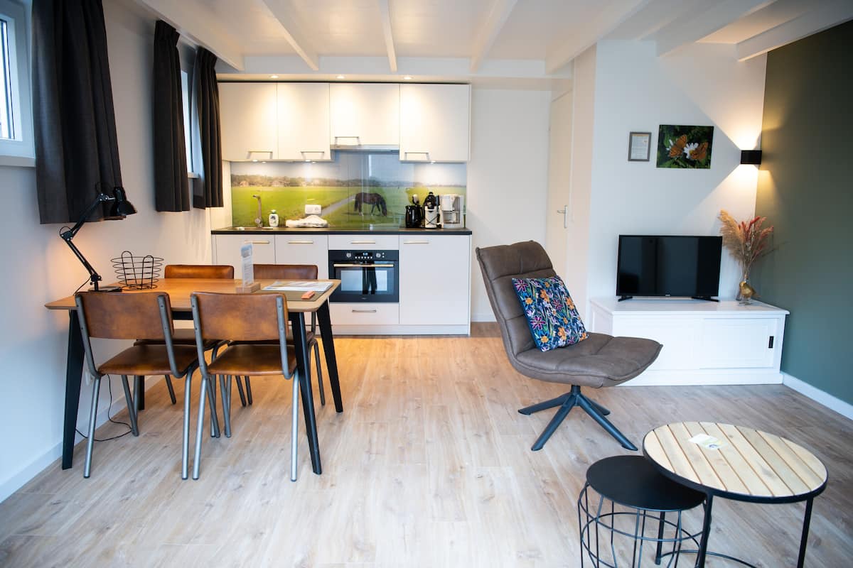 A modern kitchen with white cabinets, a dining area with a table and chairs, a sofa with a colorful cushion, a TV on a stand, and a vase with dried plants.