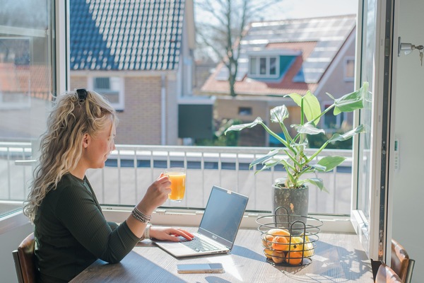 Appartement ( Eikenpage ) | In-room safe, iron/ironing board, free WiFi, bed sheets