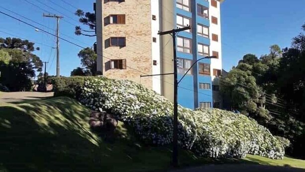 Un immeuble à étages doté d’une architecture originale, caractérisé par un mélange de briques et de murs extérieurs bleus.