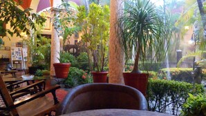 A cozy indoor garden with potted plants, a wooden table, and chairs. - Hotel Hacienda Flamingos (San Blas)