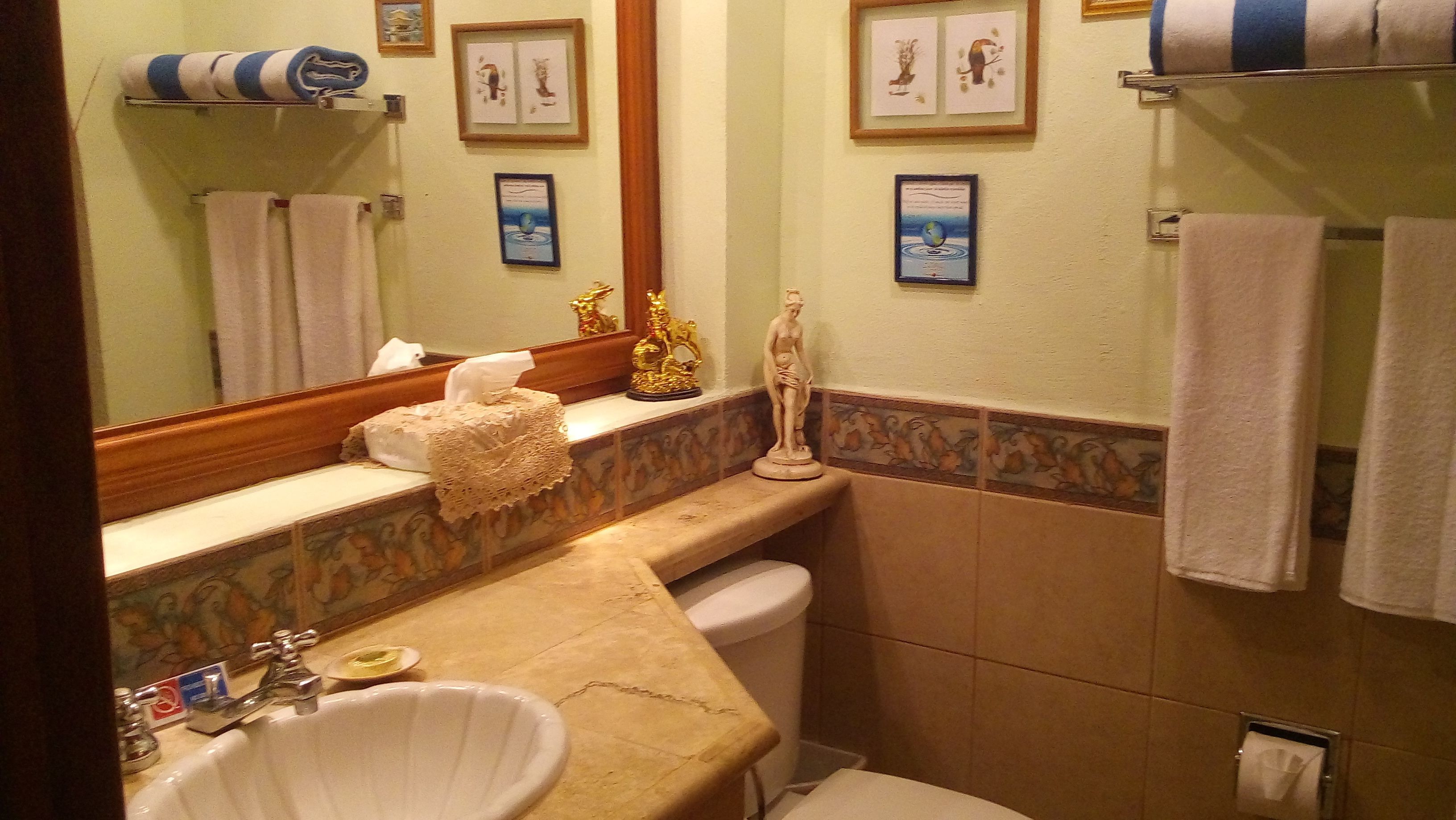 standard suite, 1 king bed with sofa bed, kitchen, courtyard view | bathroom | shower, free toiletries, hair dryer, towels