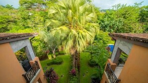 On peut admirer un jardin luxuriant, avec un palmier imposant au centre, entouré d’une végétation bien entretenue et d’un bâtiment doté de balcons.