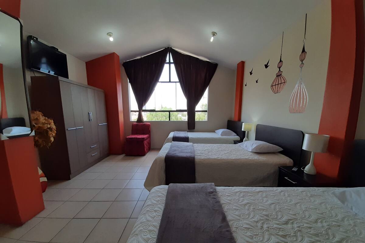 标准三人房 | 埃及棉床单、高档床上用品、羽绒被、特色装修