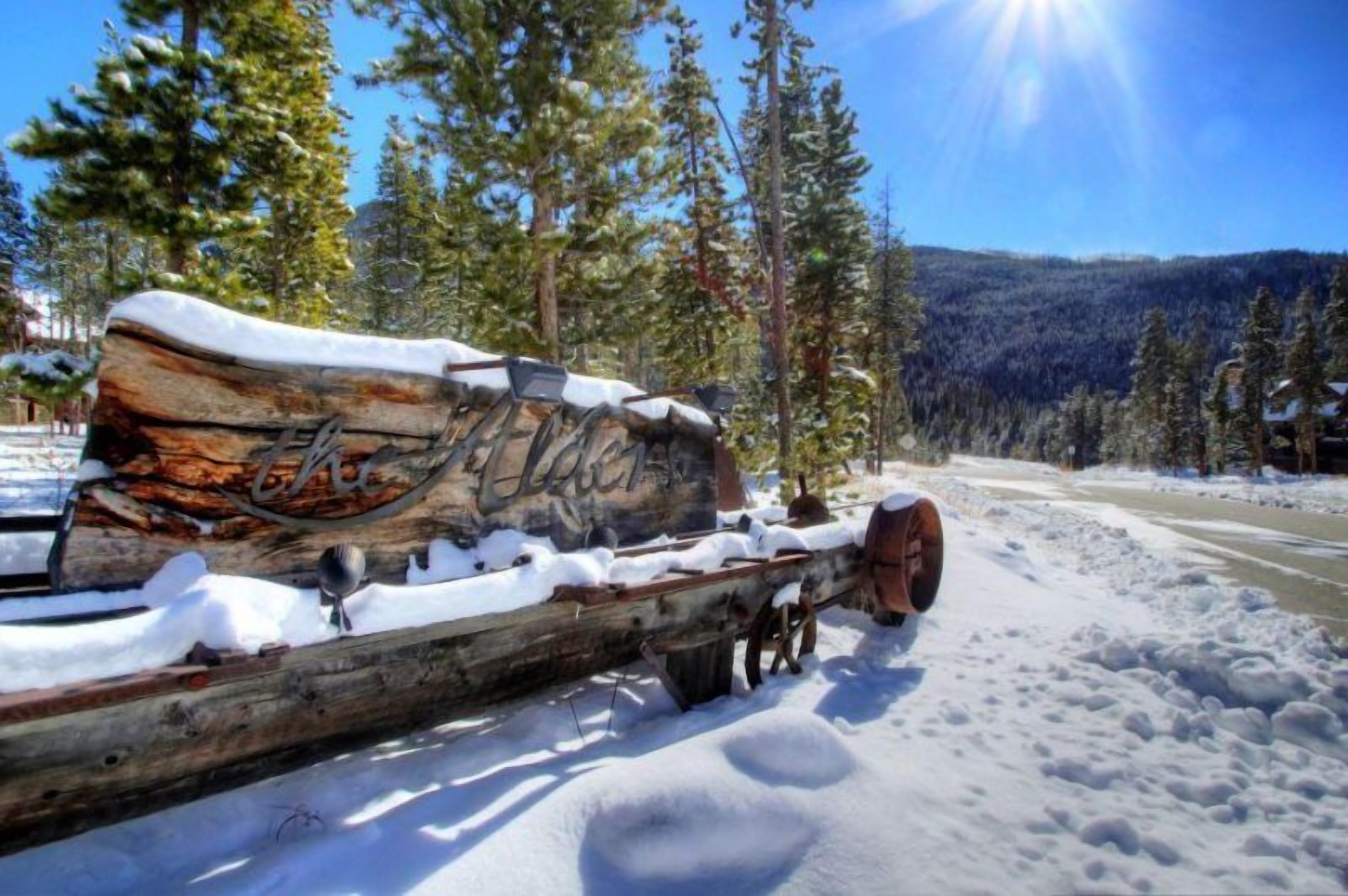 Une bûche de bois sur laquelle est gravée une inscription, entourée de neige et d’arbres.