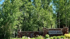 A stone wall with a sign reading "Owl Creek-Homes" surrounded by lush greenery and trees. - Snowmass_owl_creek_9915 (Snowmass Village)