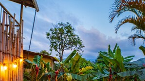 A hot tub surrounded by lush tropical plants and a wooden deck. - Hotel Terasu Salento (Salento)
