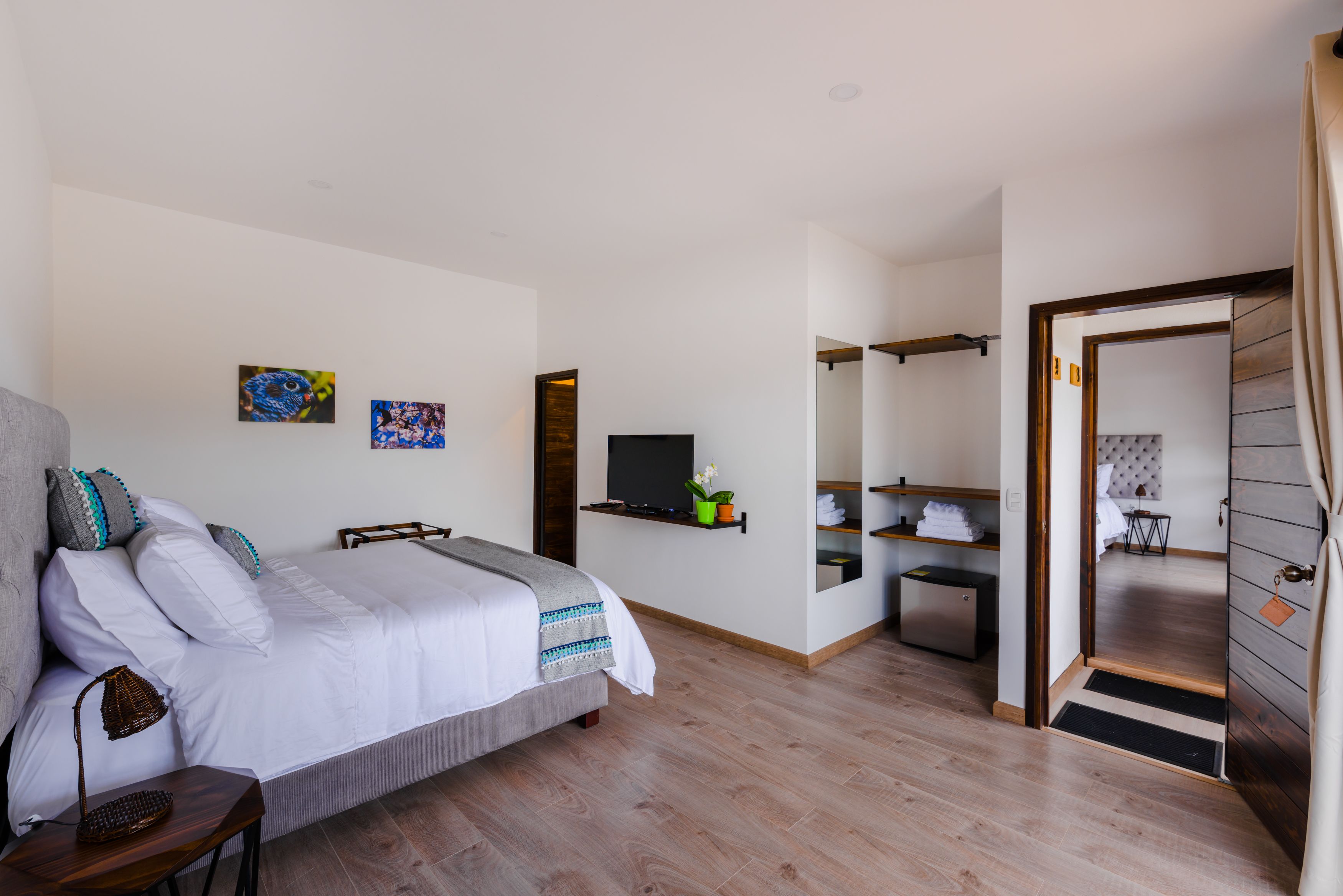 A modern bedroom with a bed, bedside table, TV, and a small shelf with a plant.
