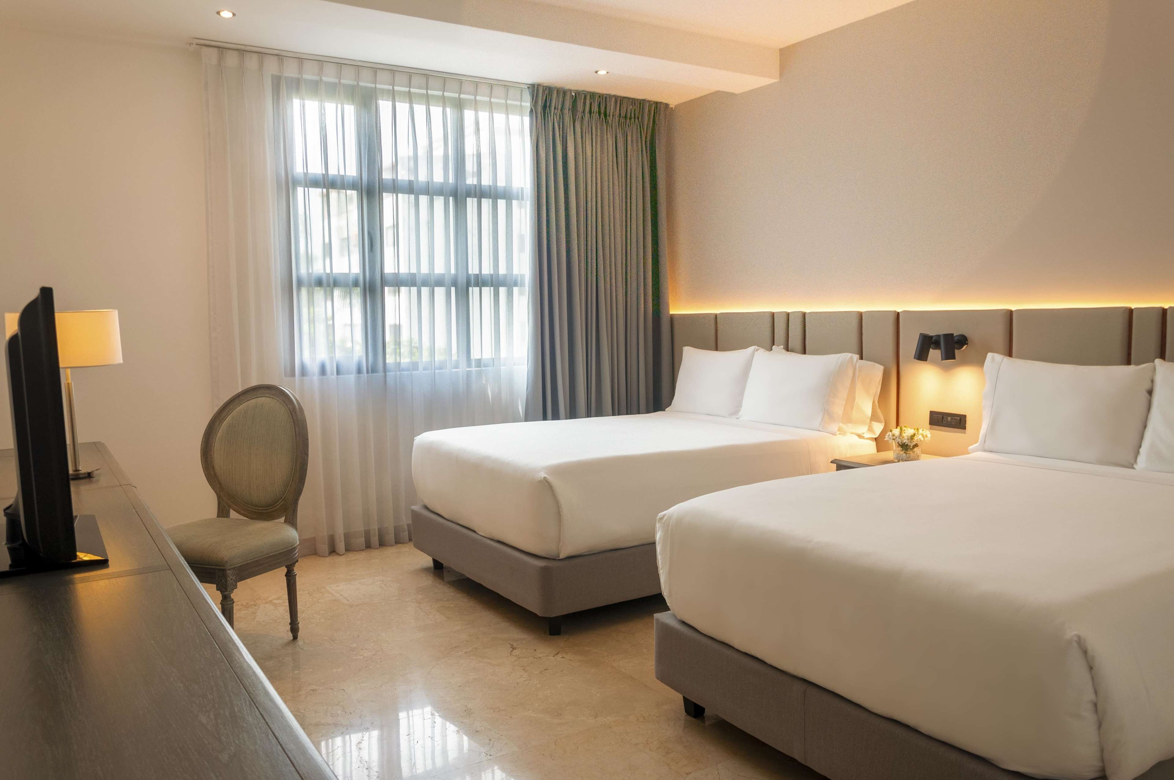 Vista desde la habitación