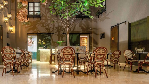 Comedor con sillas y mesas de madera, una planta en el centro y luces fijadas a la pared.