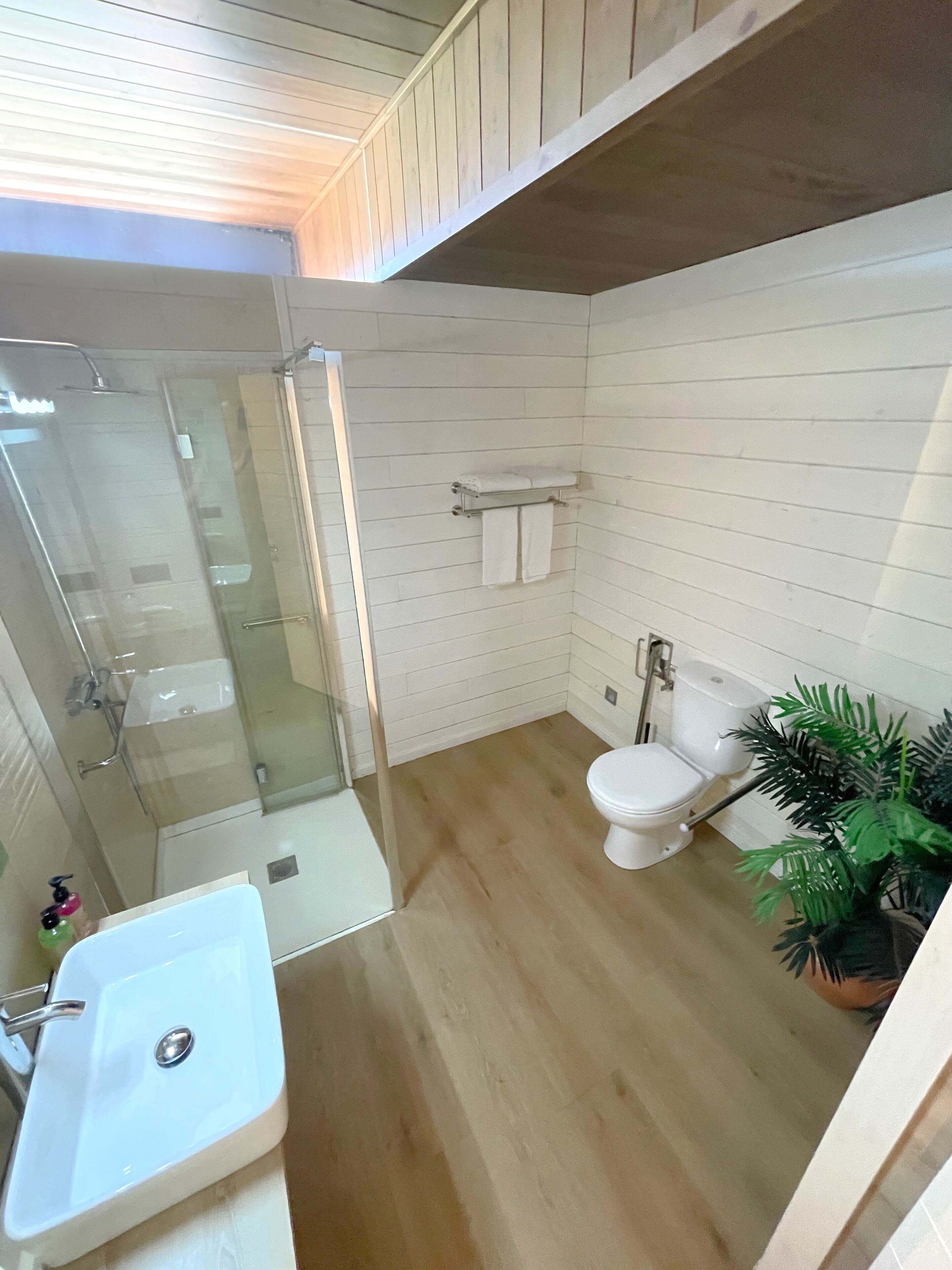 Un baño con cabina de ducha de vidrio, un lavamanos blanco, un inodoro y una planta en maceta.