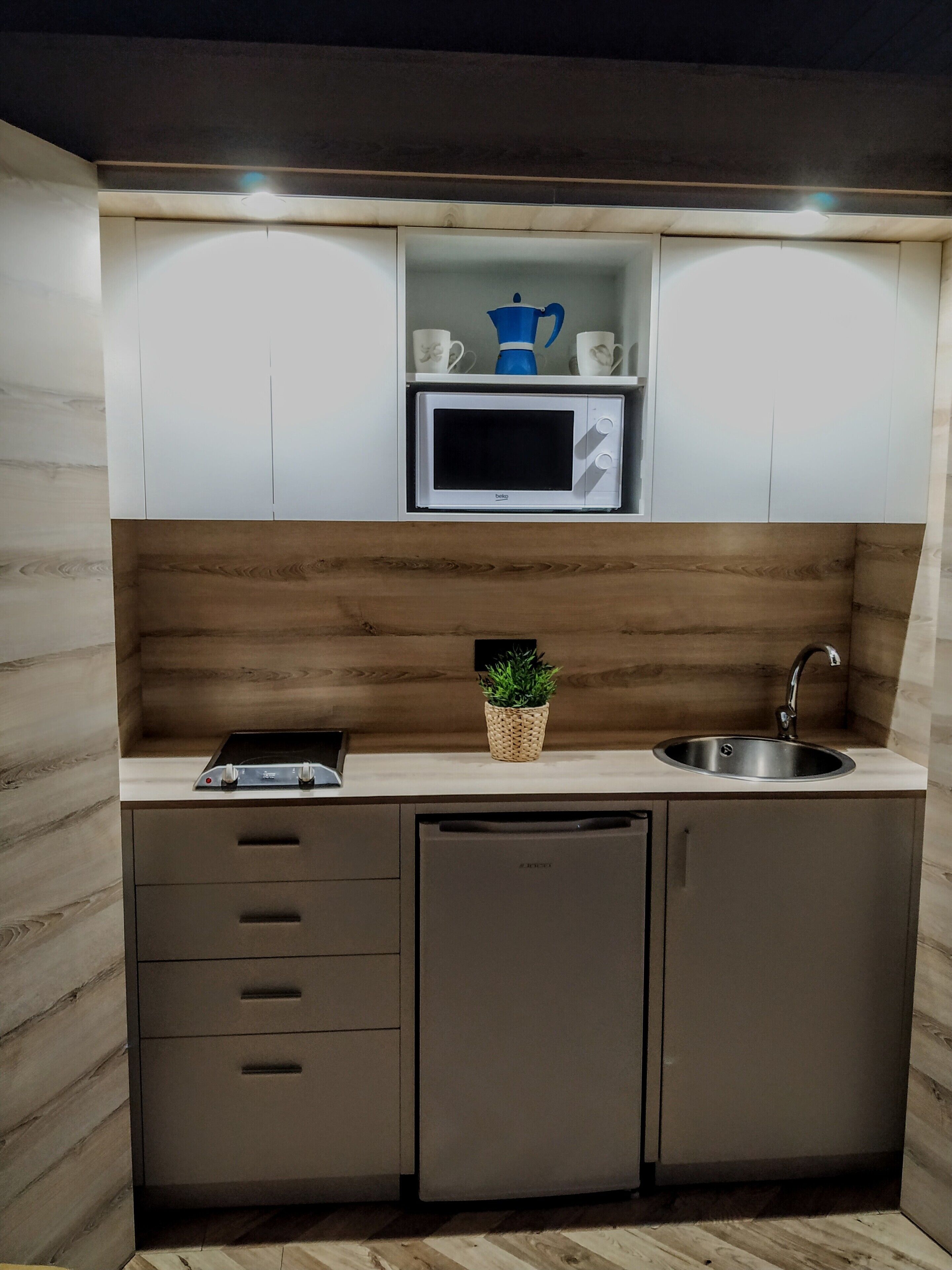 A compact kitchen with a microwave, a sink, and a small potted plant.