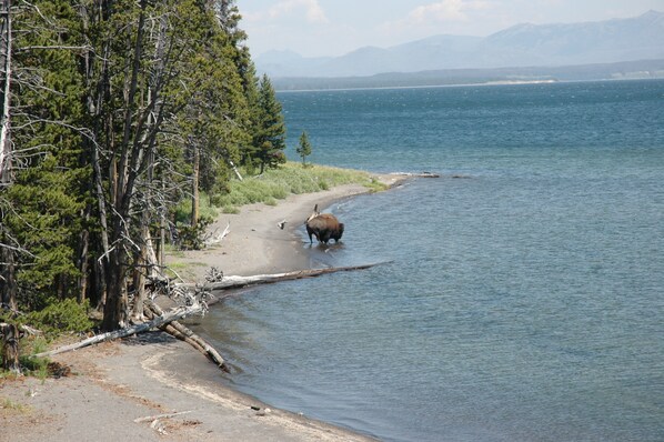 Beach - Beautiful Driggs Townhome with Views and Hot Tub (Driggs)