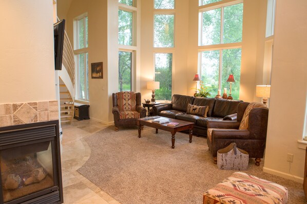 Téléviseur connecté, foyer, lecteur de DVD, livres