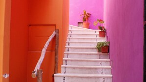 A staircase with white steps leading up to a door, surrounded by orange and pink walls, with potted plants at the top.