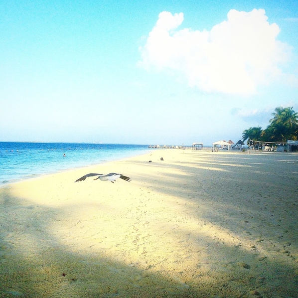 Spiaggia