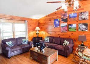 Smart TV, fireplace, DVD player, books