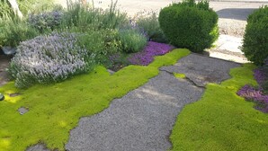 Ein Garten mit einem Kiesweg, verschiedenen Pflanzen und einem kleinen Baum.
