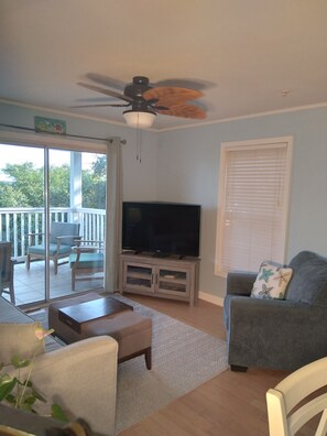 TV, Netflix, streaming services, stereo - Peaceful with Most Spectacular Views 
Fun in Folly Beach & Downtown Charleston (Charleston)