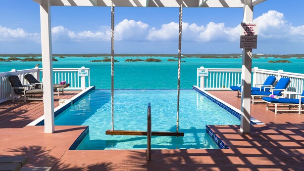 Un espace piscine équipé d’une chaise suspendue, de chaises longues et d’un panneau indiquant qu’il est interdit de plonger.