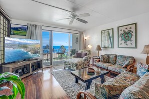 Smart TV, DVD player, books, music library