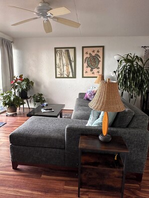 Smart-TV, DVD-Player, Bücher, Musikbibliothek